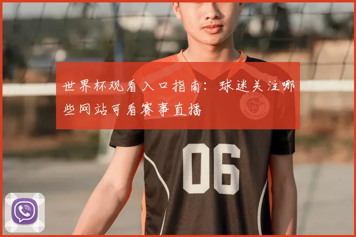 世界杯观看入口指南：球迷关注哪些网站可看赛事直播
