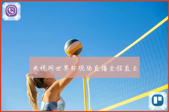 央视网世界杯现场直播全程直击