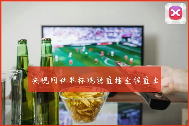 央视网世界杯现场直播全程直击