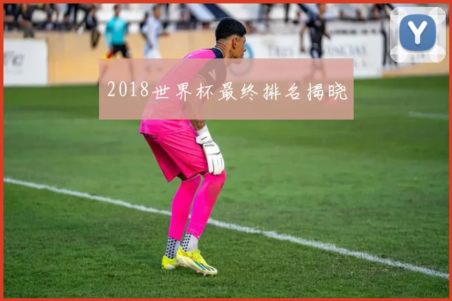 2018世界杯最终排名揭晓
