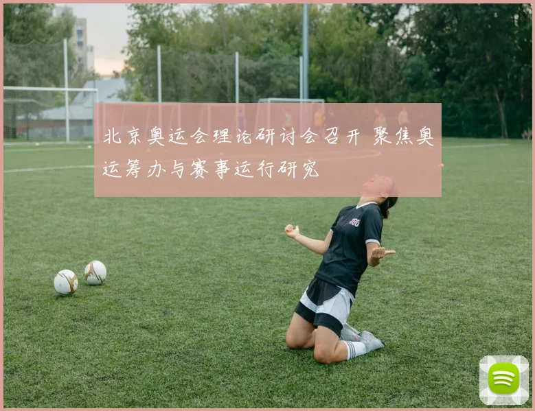 北京奥运会理论研讨会召开 聚焦奥运筹办与赛事运行研究