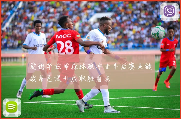 爱德华兹率森林狼冲击季后赛关键战角色提升成取胜看点